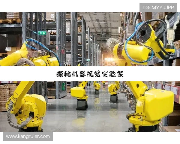 尊龙凯时集团官网的风采与用户体验深度分析