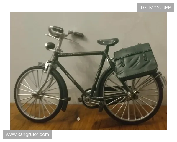 二八杠自行车常见问题与解决方案，助你轻松应对游戏中的难题