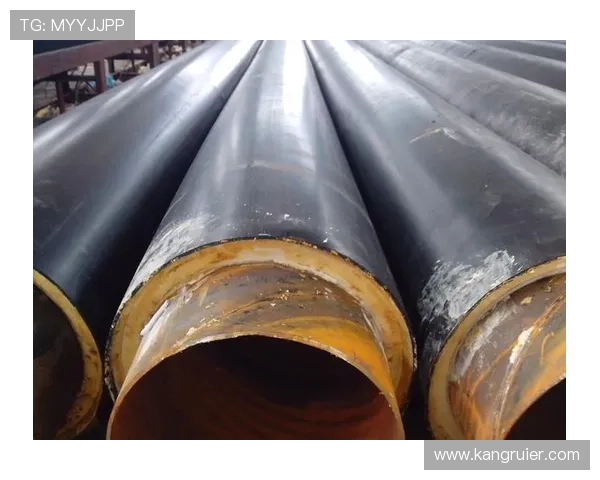 凯发首页地址的功能优势分析及其在维护平台稳定性中的关键作用